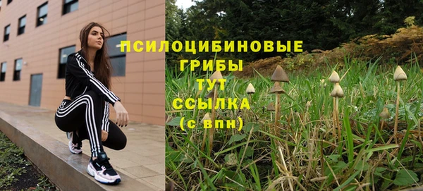 Альфа ПВП Аркадак