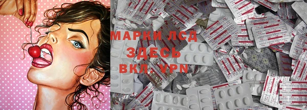 Альфа ПВП Аркадак