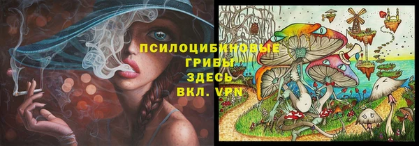 ГАЛЛЮЦИНОГЕННЫЕ ГРИБЫ Армянск