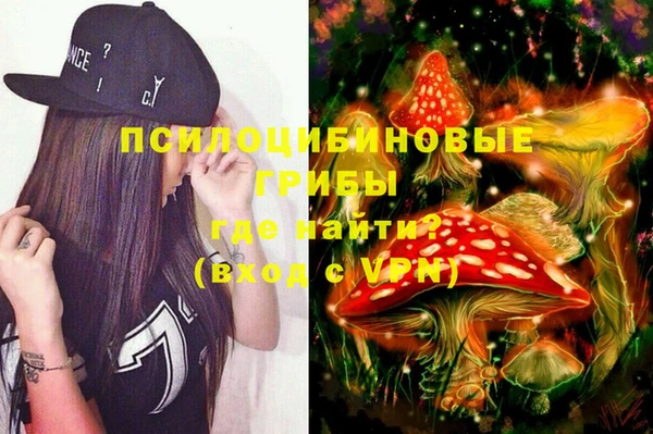 Альфа ПВП Аркадак
