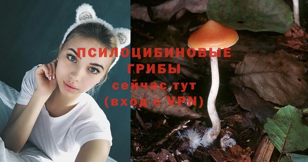 Альфа ПВП Аркадак