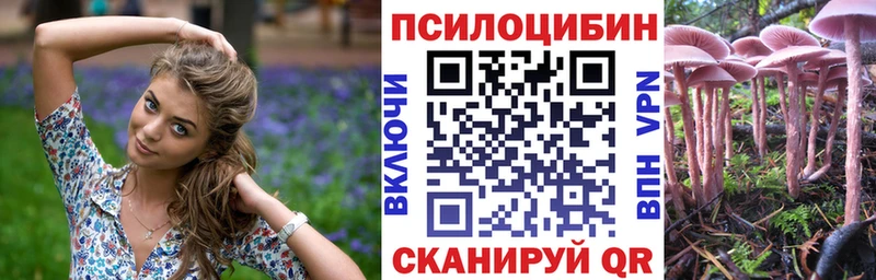 Галлюциногенные грибы MAGIC MUSHROOMS Стародуб